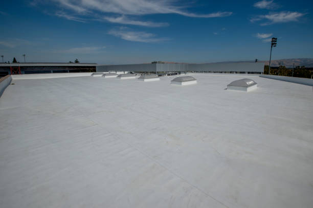 Best Emergency Roof Repair Services  in Walbridge, OH